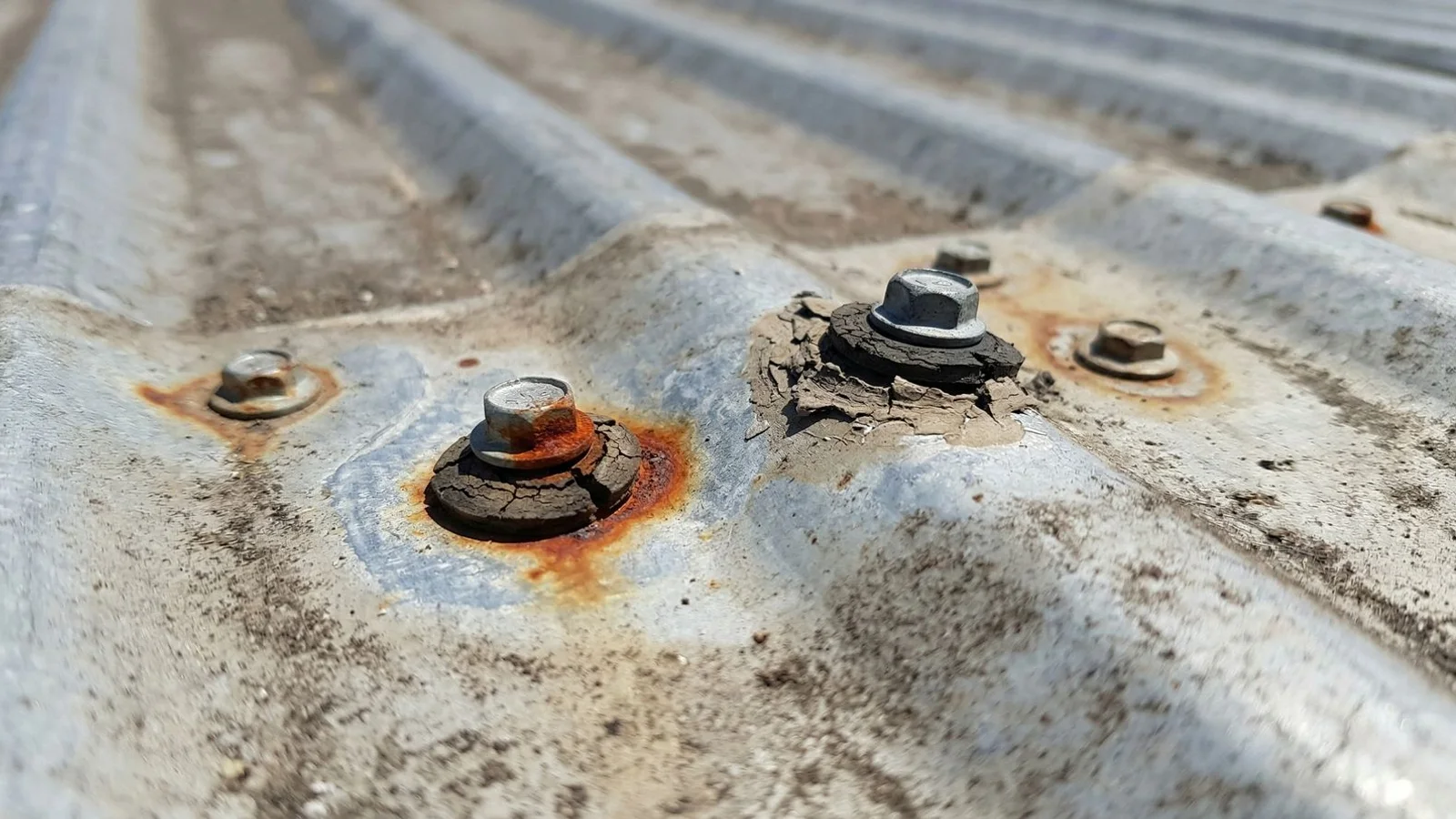 Rust spots and worn EPDM washers visible on a residential metal roof